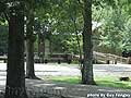 Guy Fanguy - Artist - Photographer - Guy Fanguy - Campgrounds - Louisiana -  Lake Fausee State Park (107).jpg Size: 74515 - 11
